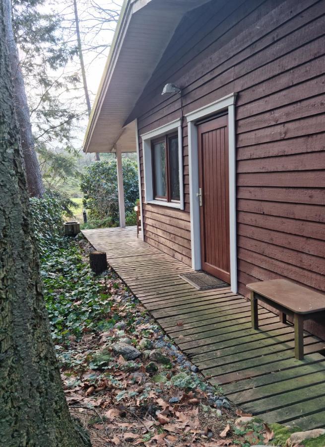 Waldhaus Doetlingen Ferienhaus Im Naturpark Eksteriør billede