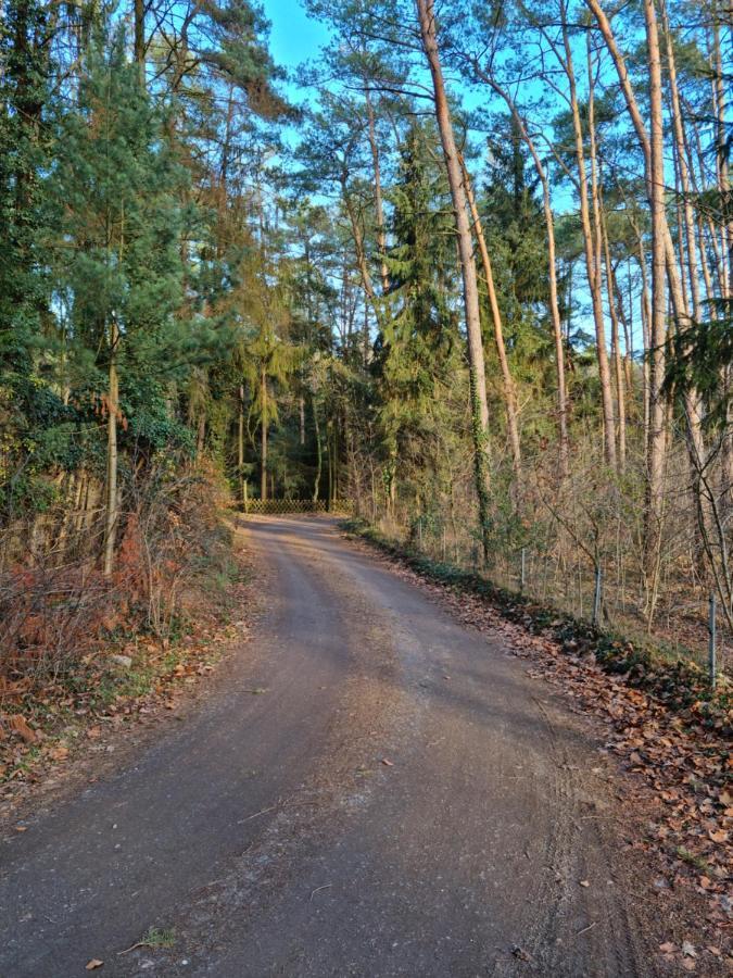 Waldhaus Doetlingen Ferienhaus Im Naturpark Eksteriør billede